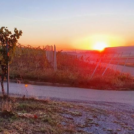 Apartamento Weingut Will Und Wuerz Lemberger Schwaigern Exterior foto
