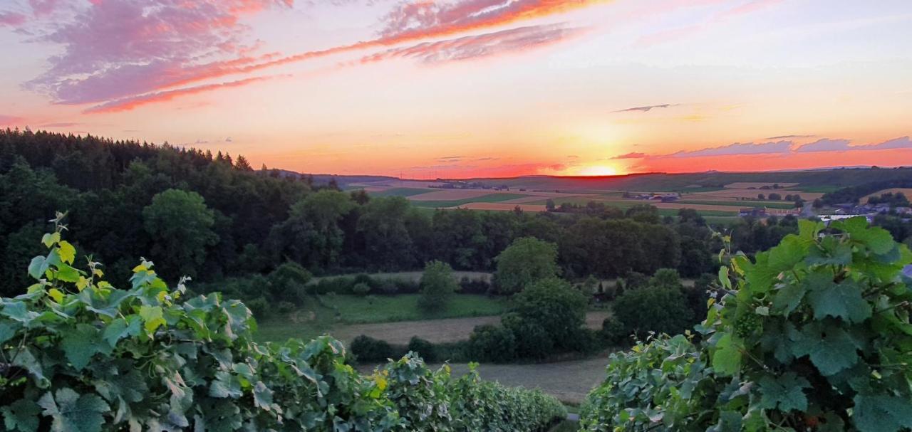 Apartamento Weingut Will Und Wuerz Lemberger Schwaigern Exterior foto